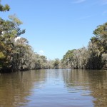 Louisiana7